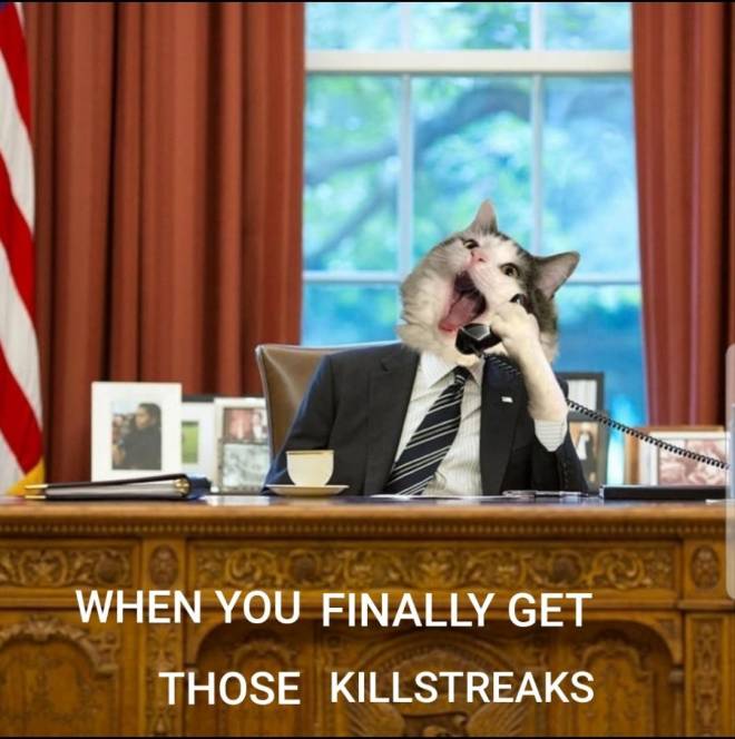 Call of Duty: Memes - Killstreaks! image 2
