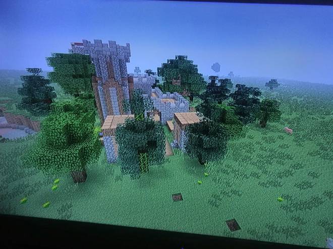 Minecraft: General - My small kingdom/Village image 1