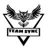 Team Sync