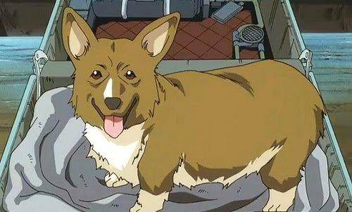 Entertainment: Animations - Anime Doggos... 🐶💕✨ image 4