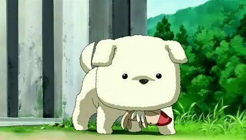 Entertainment: Animations - Anime Doggos... 🐶💕✨ image 7