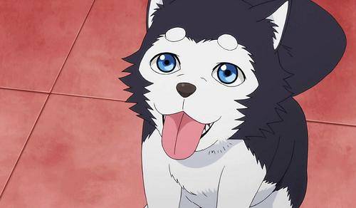 Entertainment: Animations - Anime Doggos... 🐶💕✨ image 2