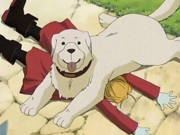 Entertainment: Animations - Anime Doggos... 🐶💕✨ image 5