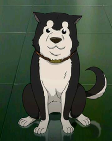 Entertainment: Animations - Anime Doggos... 🐶💕✨ image 3