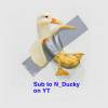 N_Ducky