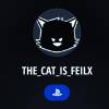 the_cat_is _feilx