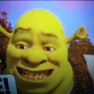 Shrek King
