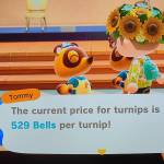 Amazing Turnip Price Ask for dodo code and bid a tip for entry i will be online for a while #turnip