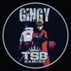 TSB_Gingy