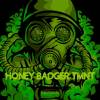 HoneyBadgerTMNT