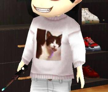 こおり鬼 Online!: 自由掲示板 - 服の猫の正体 image 2